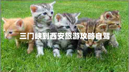 三門(mén)峽到西安旅游攻略自駕