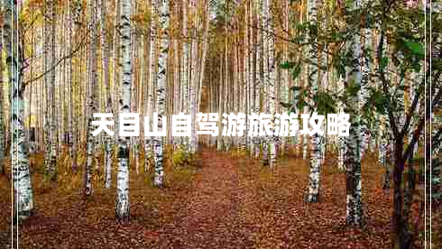 天目山自駕游旅游攻略