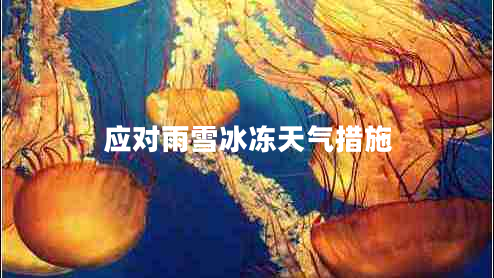 應對雨雪冰凍天氣措施