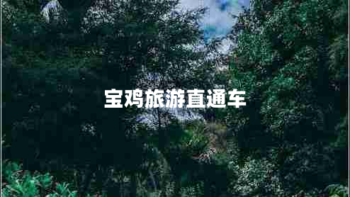 寶雞旅游直通車(chē)