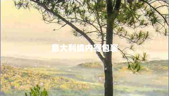 意大利境內寄包裹