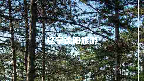 遼寧沈陽(yáng)旅游