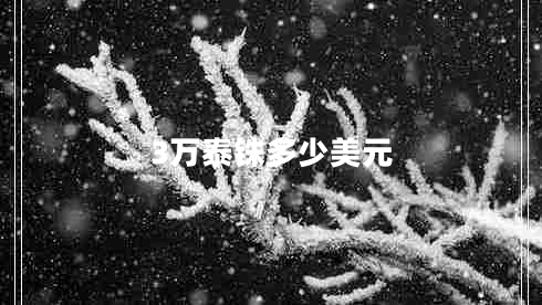 3萬(wàn)泰銖多少美元