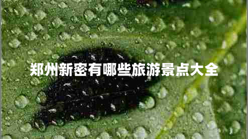 鄭州新密有哪些旅游景點(diǎn)大全