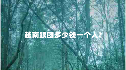 越南跟團多少錢(qián)一個(gè)人?