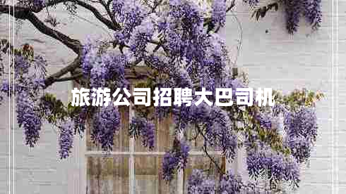 旅游公司招聘大巴司機