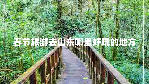 春節旅游去山東哪里好玩的地方
