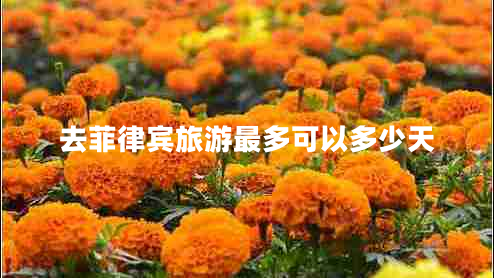 去菲律賓旅游最多可以多少天