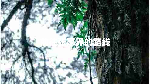 前往張家界的路線(xiàn)