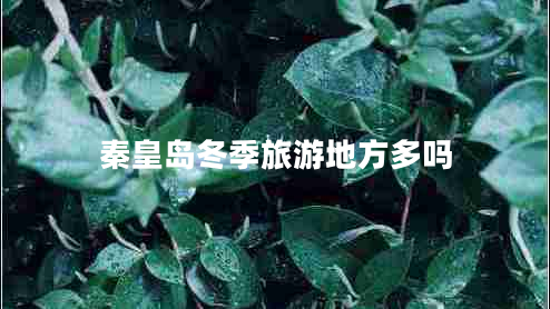 秦皇島冬季旅游地方多嗎