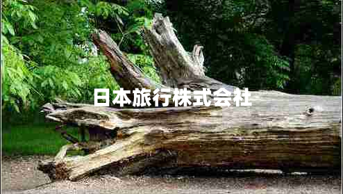 日本旅行株式會(huì )社