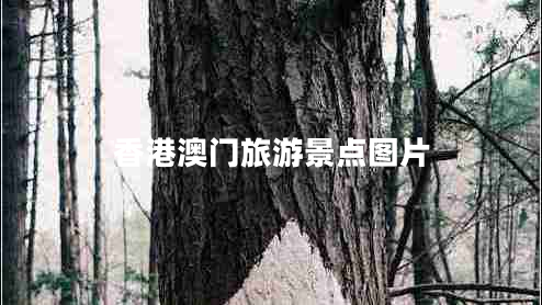 香港澳門(mén)旅游景點(diǎn)圖片