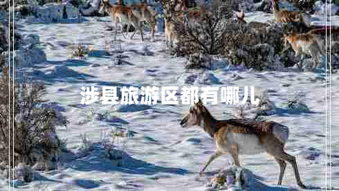 涉縣旅游區都有哪兒