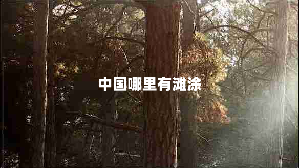 中國哪里有灘涂