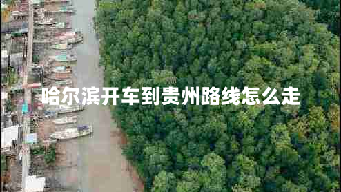 哈爾濱開(kāi)車(chē)到貴州路線(xiàn)怎么走