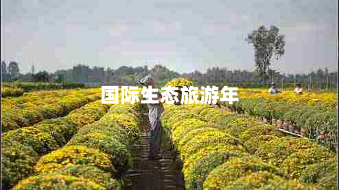 國際生態(tài)旅游年