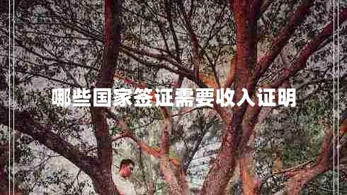 哪些國家簽證需要收入證明