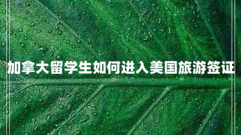 加拿大留學(xué)生如何進(jìn)入美國旅游簽證