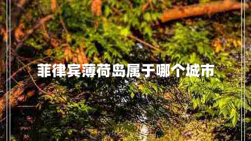 菲律賓薄荷島屬于哪個(gè)城市