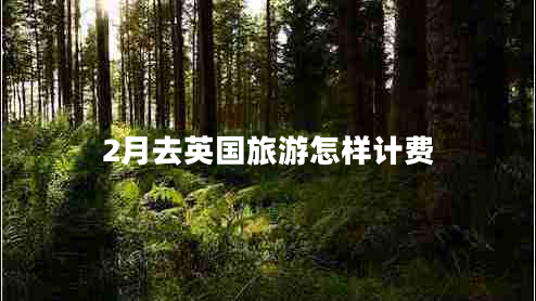 2月去英國旅游怎樣計費