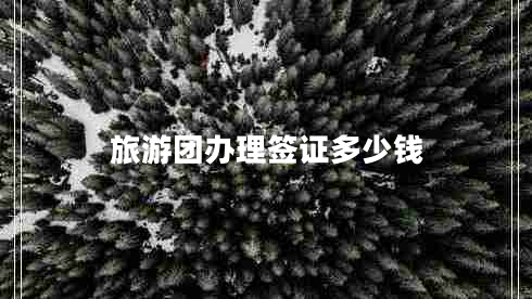 旅游團辦理簽證多少錢(qián)