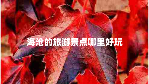海滄的旅游景點(diǎn)哪里好玩