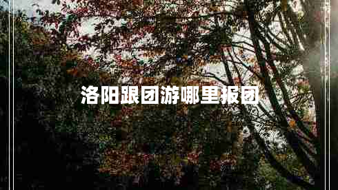 洛陽(yáng)跟團游哪里報團