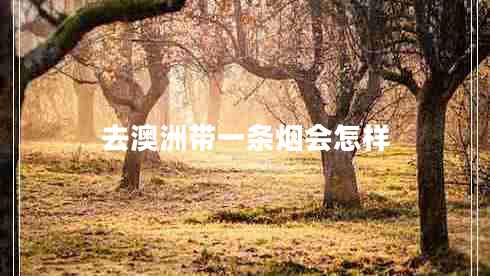 去澳洲帶一條煙會(huì )怎樣