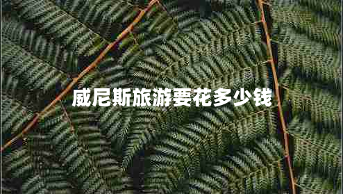 威尼斯旅游要花多少錢(qián)