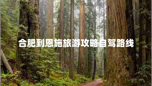 合肥到恩施旅游攻略自駕路線(xiàn)