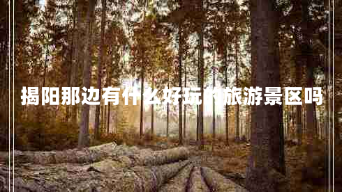 揭陽(yáng)那邊有什么好玩的旅游景區嗎