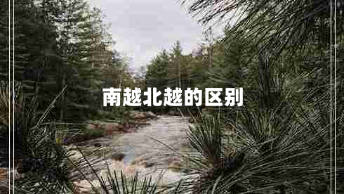 南越北越的區別