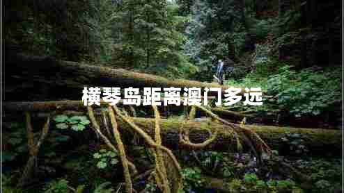 橫琴島距離澳門(mén)多遠