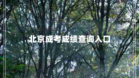 北京成考成績(jì)查詢(xún)入口