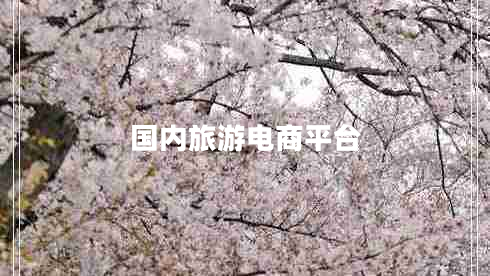 國內旅游電商平臺