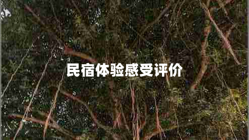 民宿體驗感受評價(jià)