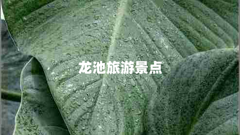 龍池旅游景點(diǎn)