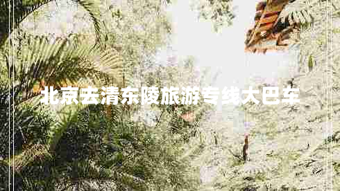 北京去清東陵旅游專(zhuān)線(xiàn)大巴車(chē)