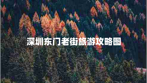深圳東門(mén)老街旅游攻略圖