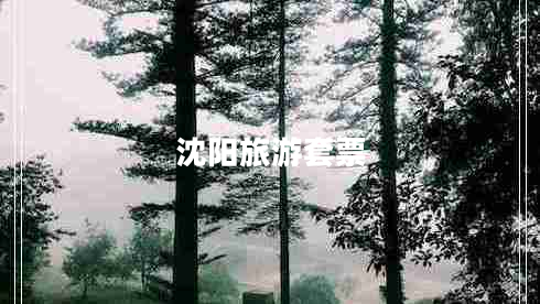 沈陽(yáng)旅游套票