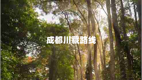成都川藏路線(xiàn)