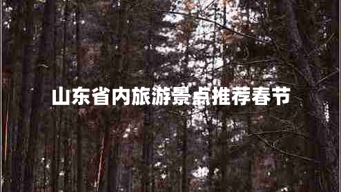 山東省內旅游景點(diǎn)推薦春節