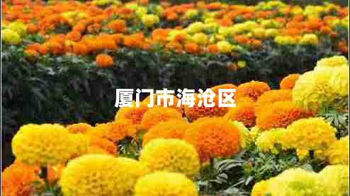 廈門市海滄區(qū) 廈門市海滄區(qū)