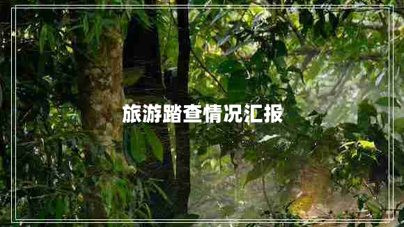 旅游踏查情況匯報