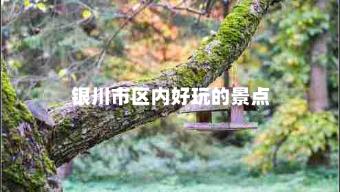 銀川市區內好玩的景點(diǎn)