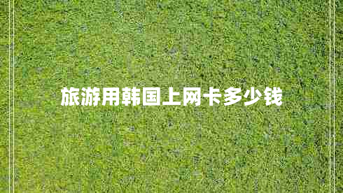 旅游用韓國上網(wǎng)卡多少錢(qián)