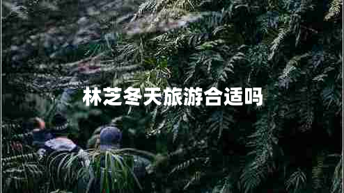 林芝冬天旅游合適嗎