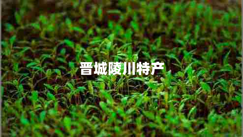 晉城陵川特產(chǎn)