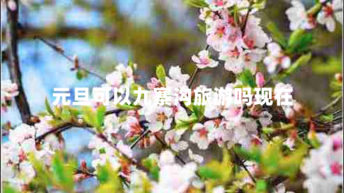 元旦可以九寨溝旅游嗎現在