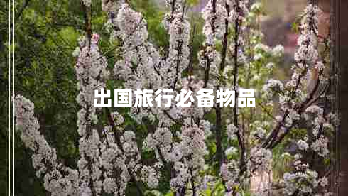 出國旅行必備物品